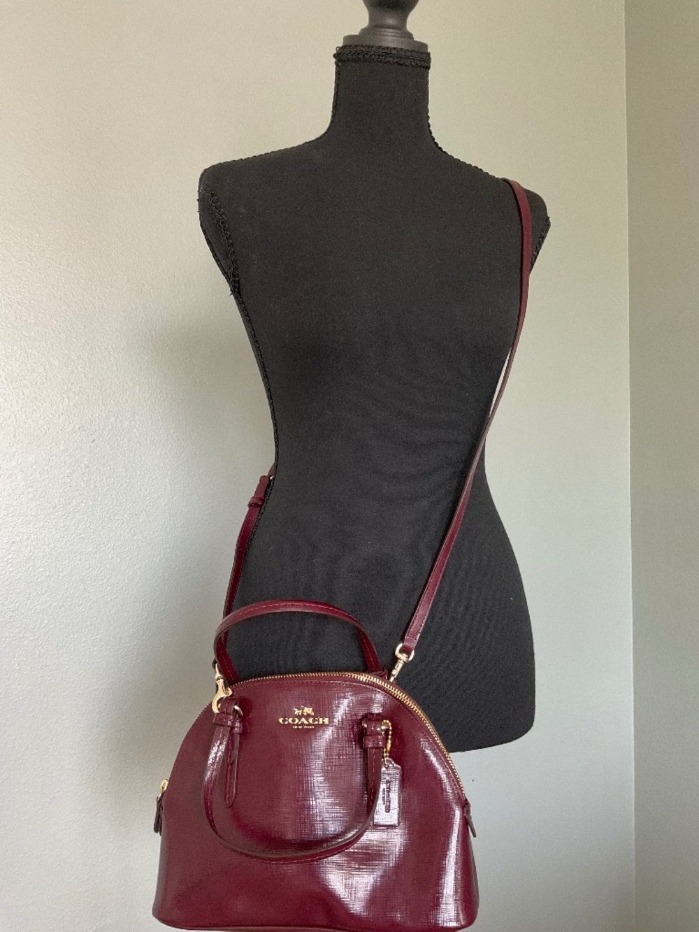 COACH PEYTON LEATHER MINI DOMED SATCHEL